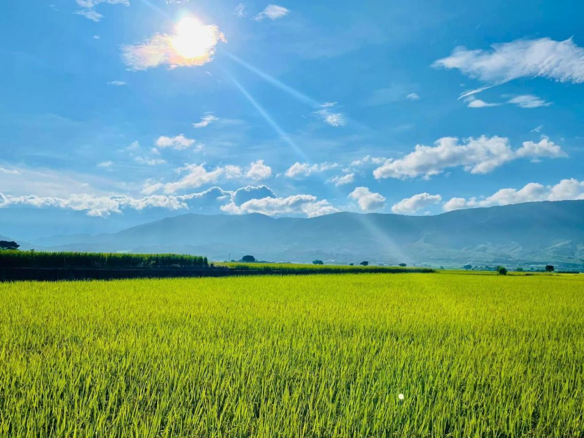 關山稻香田園民宿 Haiduan 外观 照片